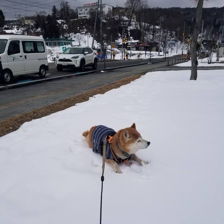 5a23c123 0eed 4287 bc1f ed3315326713 1706932778285