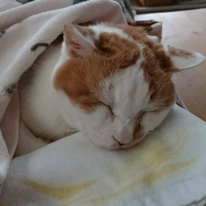 5a23d108 5e0b 4be0 883c 4982c431ff00 1525125073922