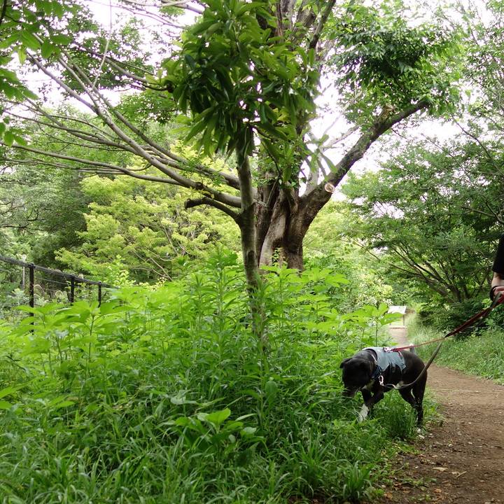 5a2409d7 4bd8 45aa 97b1 5c5269f6cd19 1716681670443