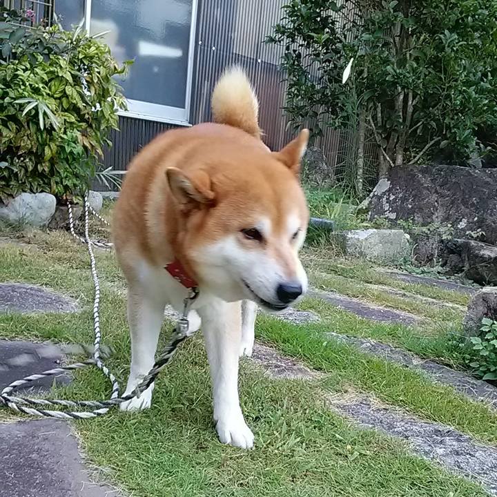 5a240e7a 99b2 4ebc a408 fe38a942221e 1598944748355