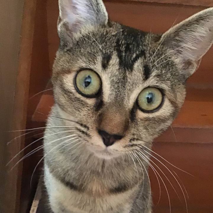 5a242f6b 1210 4d27 a857 46cf02424310 1574142241497