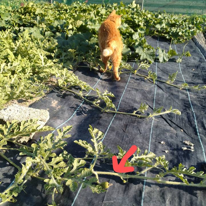 5a2439bb 7f82 4aff b877 a94641c6a770 1719650192541