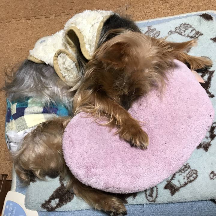 5a2441c3 c9b0 419e a967 771deb0cdc49 1515579769879