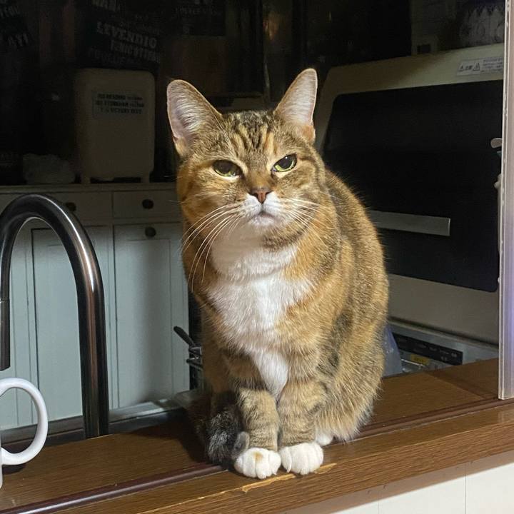 5a2462ef 11e8 4dee b0dd fa9929db0fb2 1735743318465