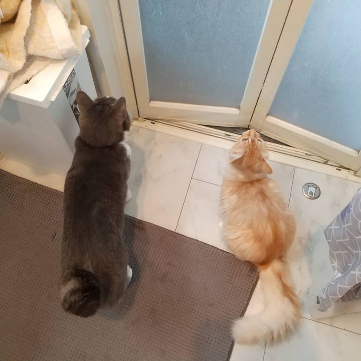 5a246dbc f406 4e09 ac58 1567a675531c 1618784064507