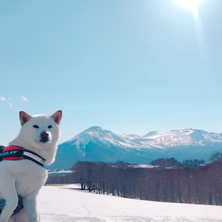 5a2474c3 7898 47fa a9c7 6e4289b8c33d 1556526550599