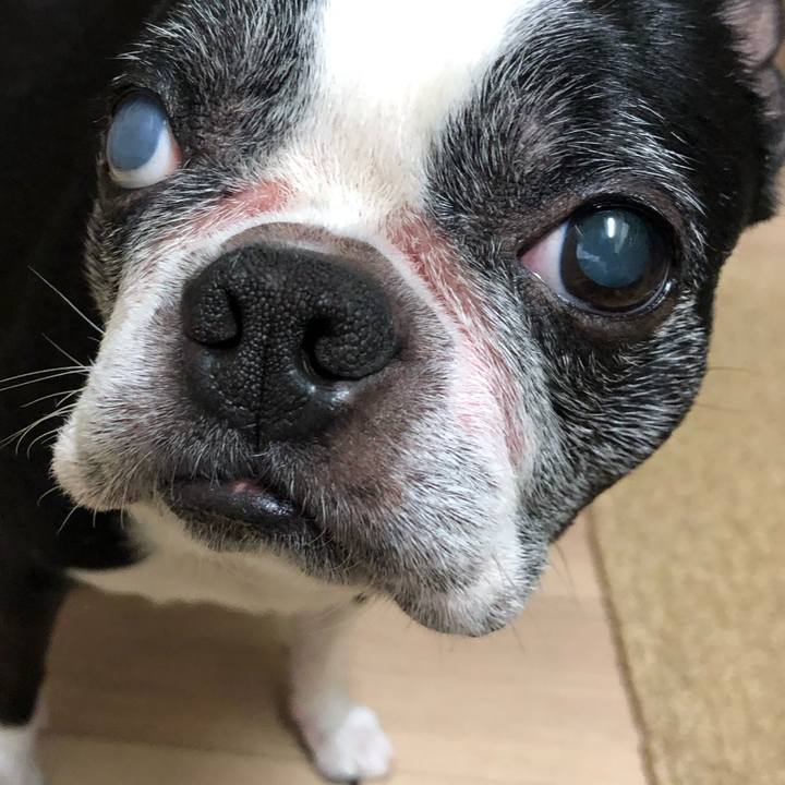 5a249d77 0e7c 4e07 92cb a8373ce74fde 1721261275863