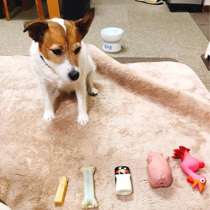 5a24b895 6032 4ed9 9194 96680e77ebd8 1551449199341