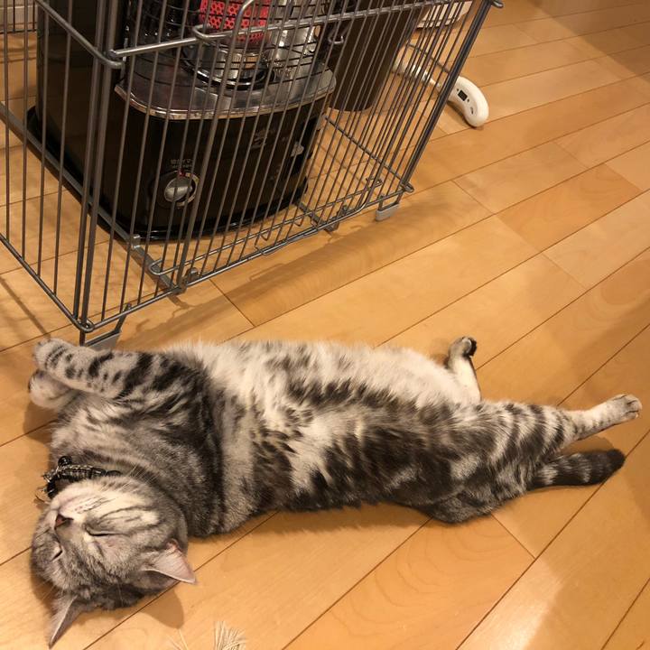 5a24cf17 0e85 470b 955c f5ee4fe2f606 1584186131123