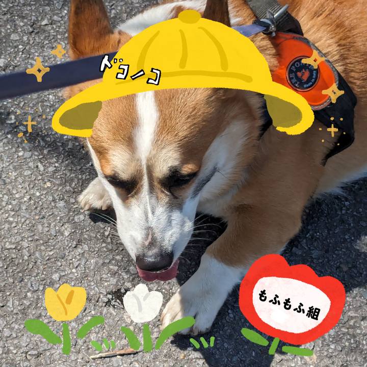 5a24e898 fc25 49b7 b419 cd94a5952363 1712318757788