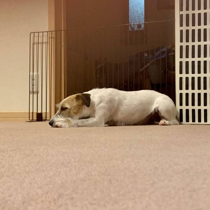 5a24ffe3 646f 4408 a017 1fa69b9b4222 1655475920863