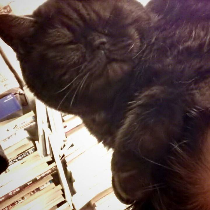 5a2507bb 79e5 41ad 9fa1 a249a0f355d1 1587451372727