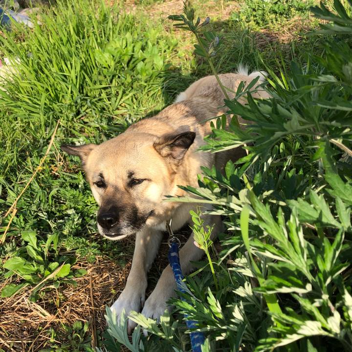 5a25149f 4d6f 47d1 a369 f4ce356fbee8 1522752904226