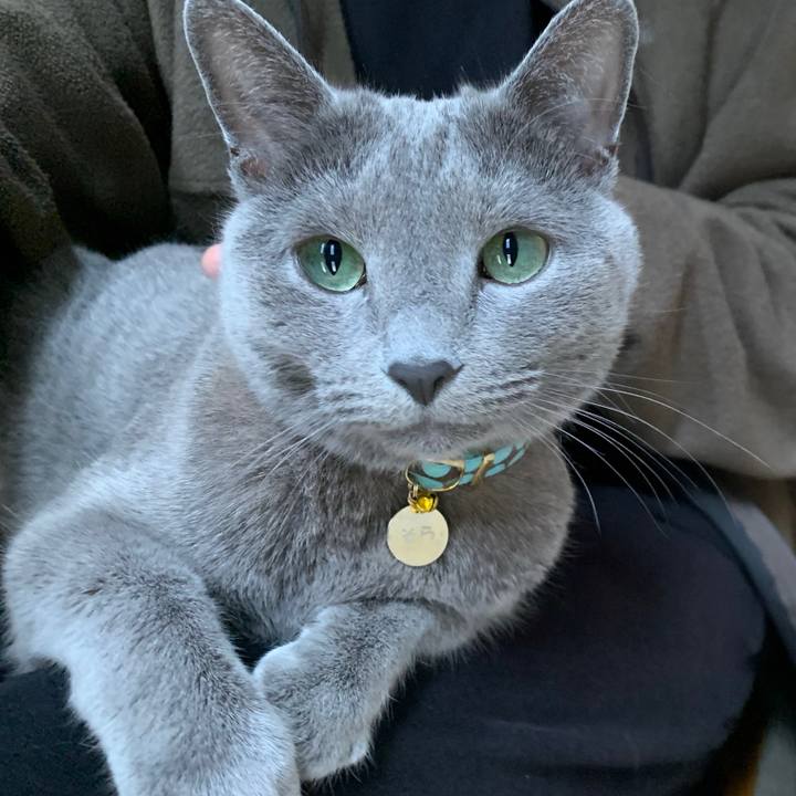 5a2527df 00b2 4971 bf25 167c14178f71 1651907642872