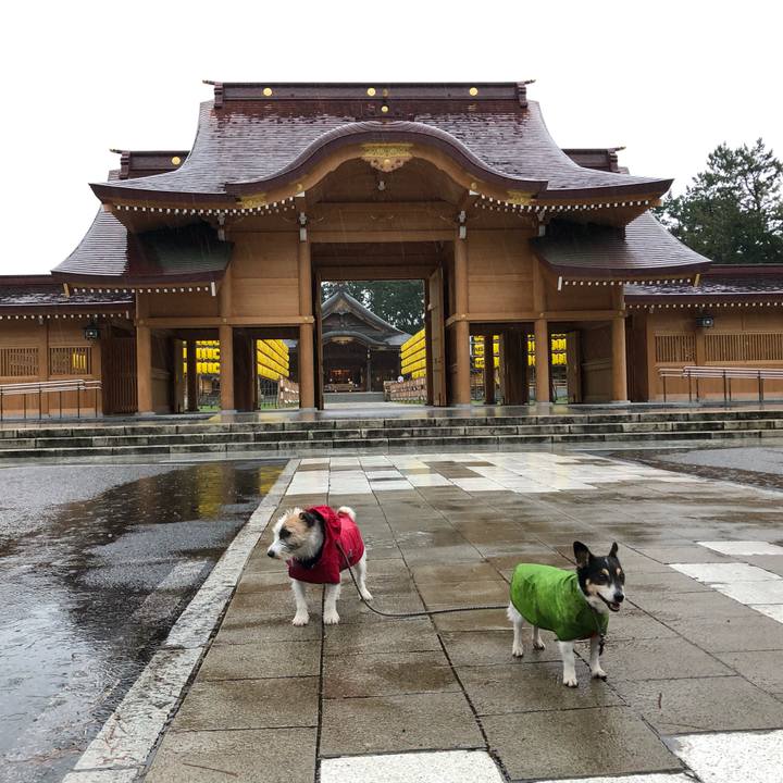 5a252aa6 4920 469b 9465 ec656d03022d 1565911777409