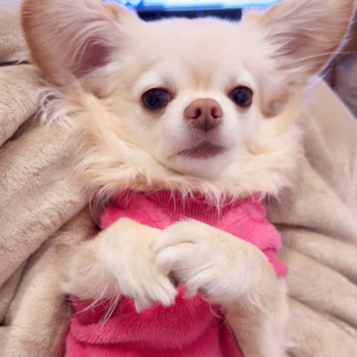 5a25359b 052c 44ac b251 c01480894c8f 1741514677446