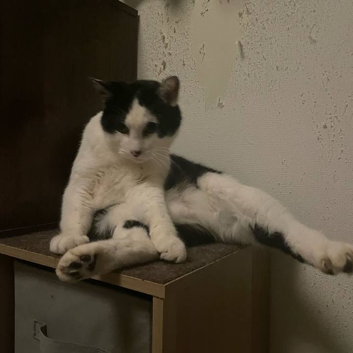 5a257752 4504 4d1f 958d c06a3b46d185 1709802486082