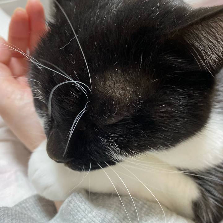 5a25a345 66ef 42fb b98f 935cc788ec5b 1735659370906