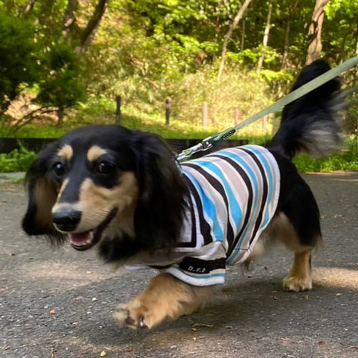 5a25b692 6c0a 4441 9774 af0d0f11be59 1681950353128