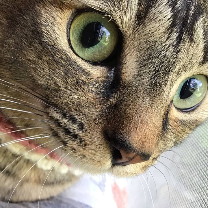 5a25b8a1 9748 4228 a901 914346cd6fa6 1617769707716