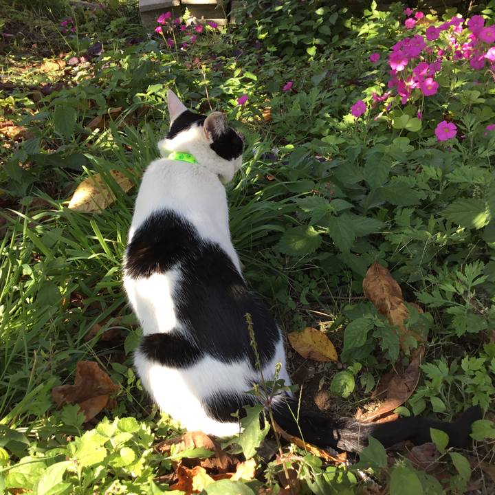 5a25bc4e ab36 4fbf aac8 d2c2460183dc 1509061679087