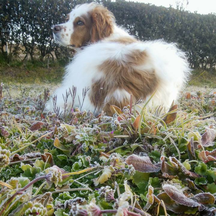 5a25dfdf 59cf 455e b4d2 1978d1bb6cb6 1549074157970