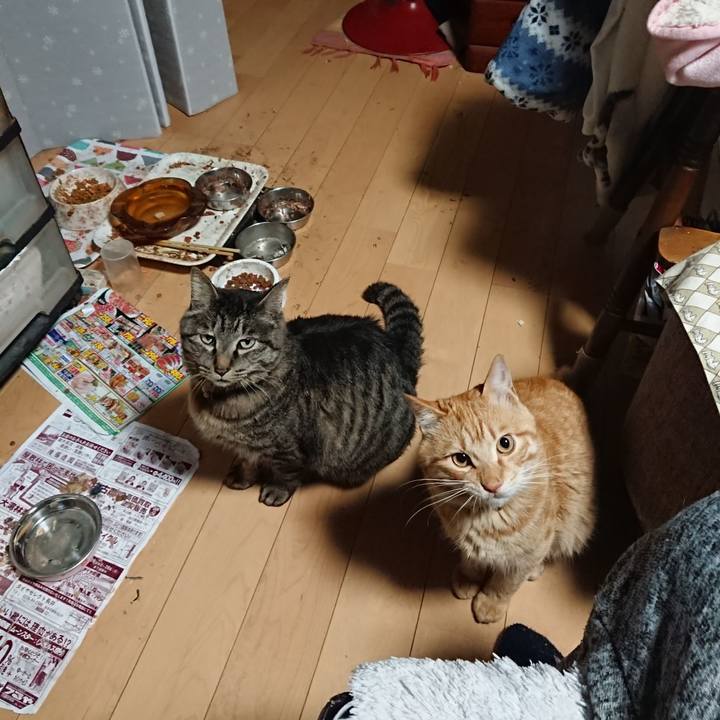 5a261b60 a38c 47b0 8043 f2a55bf7f590 1650055929732