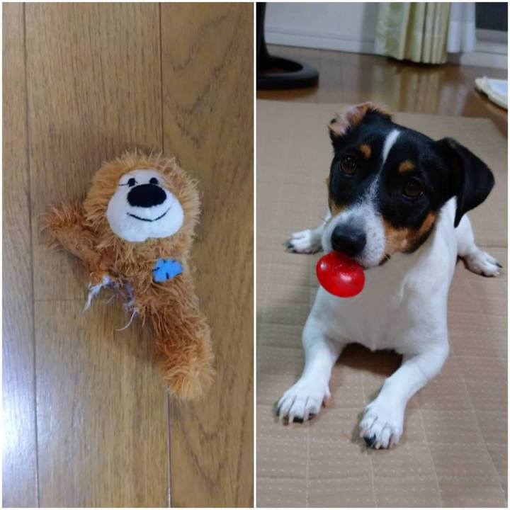 5a264a57 d5ef 48de 8163 ca7285c13aa4 1597929896731