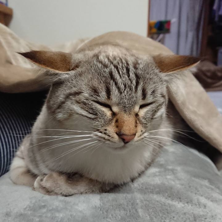 5a266cf9 7a41 4d7d b0fa b770873dac4c 1548070002822