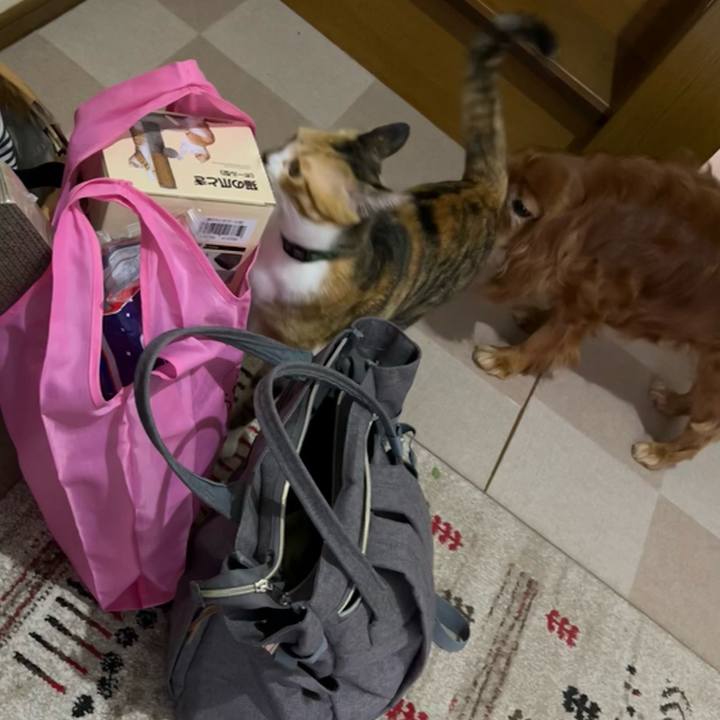 5a26777b 5ce8 439a ade9 bf94ca6f1a6a 1716205990555