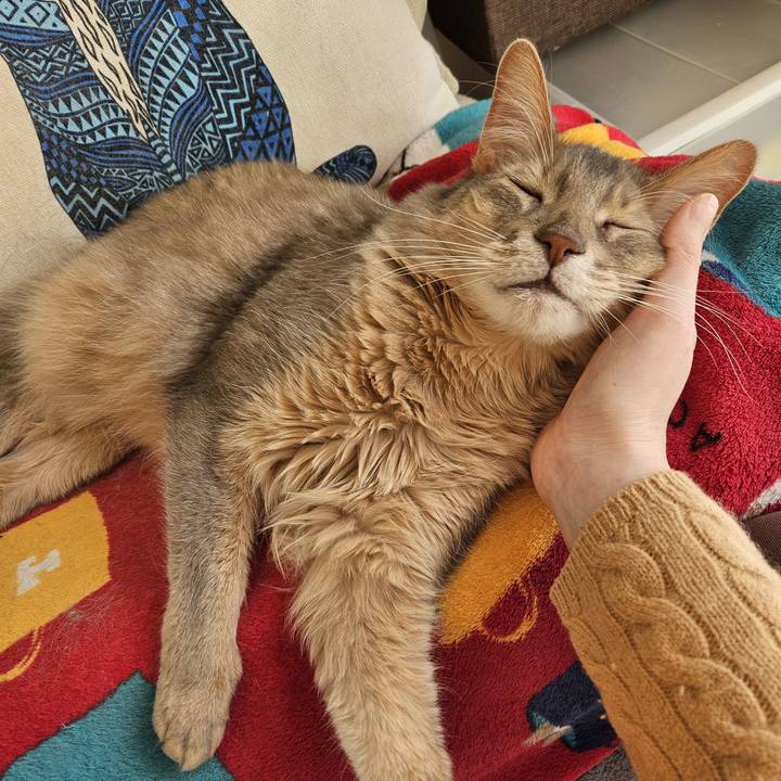 5a268fd1 1d3b 4ebc bb8e c4be31921f92 1706177774241