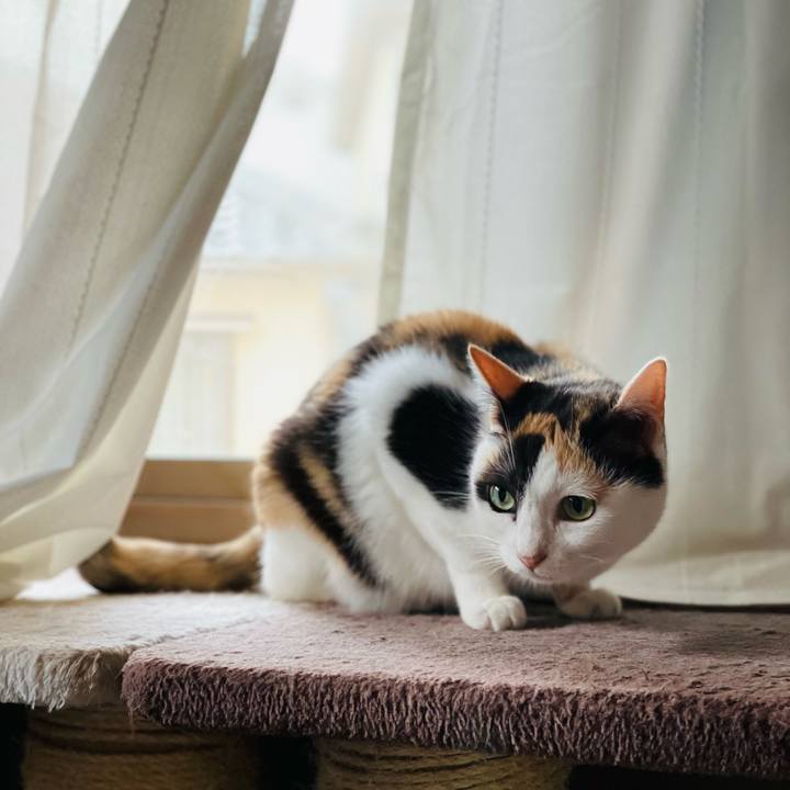 5a26b31f 434f 4b71 989e f7ac8b8bace7 1662860359002