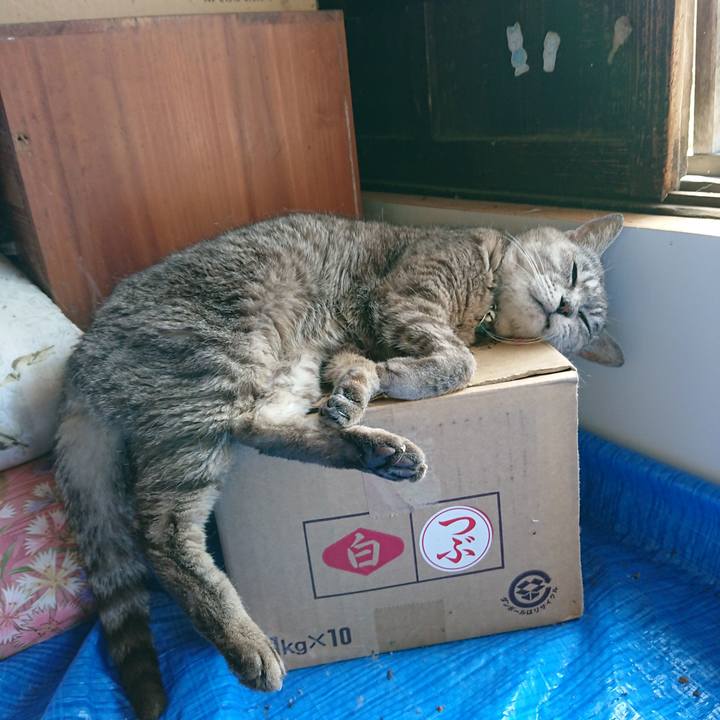 5a26f101 845a 4134 b977 35f3534f6360 1565401902765