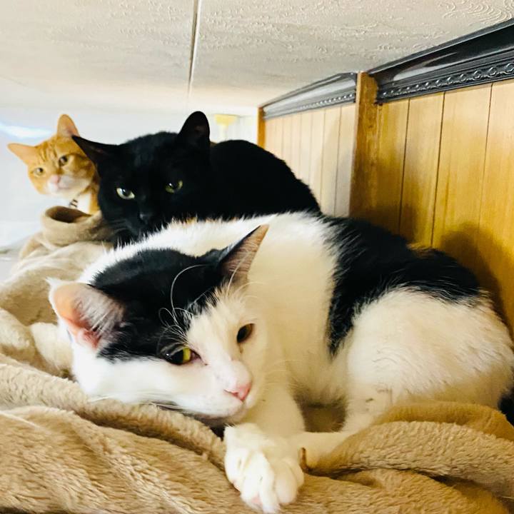 5a2715ee f681 4298 9f3b ac08bb3c4da6 1675294119523