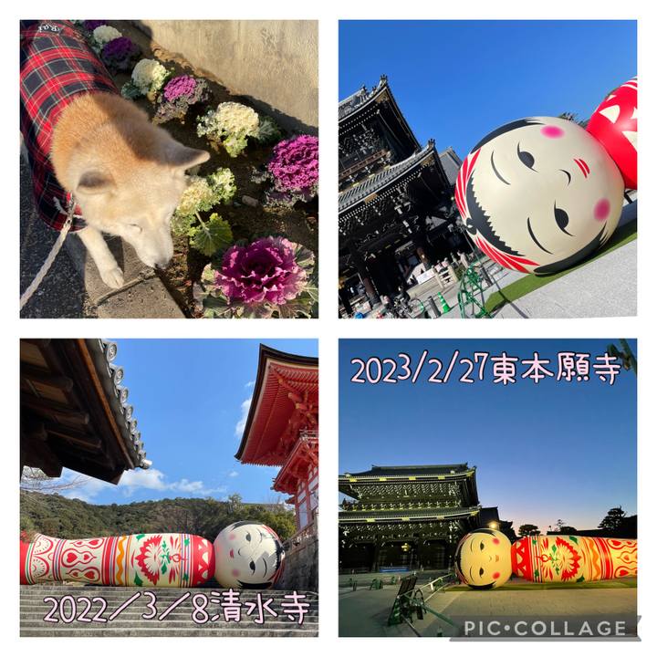 5a275677 aff6 4d3d a828 f6556c9b3e87 1677491858439