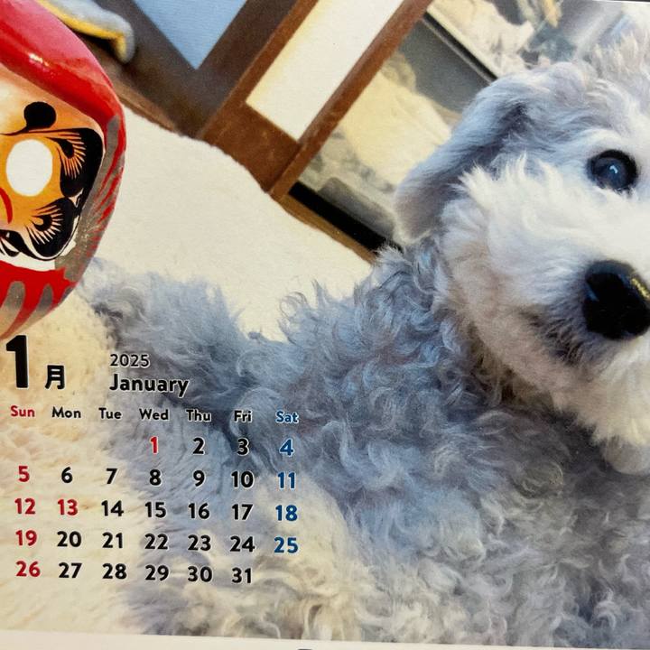 5a27909e ba9f 4c29 a7bb 9e5520d29715 1737459409888