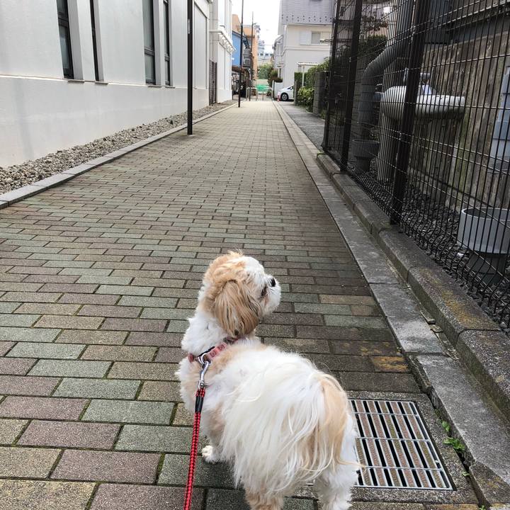 5a27c681 7e65 43e4 b0a1 3fa1b7da4c24 1542233854587