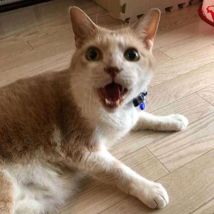 5a27f71f 70e4 41a1 8753 297eb07cbcea 1563576910141