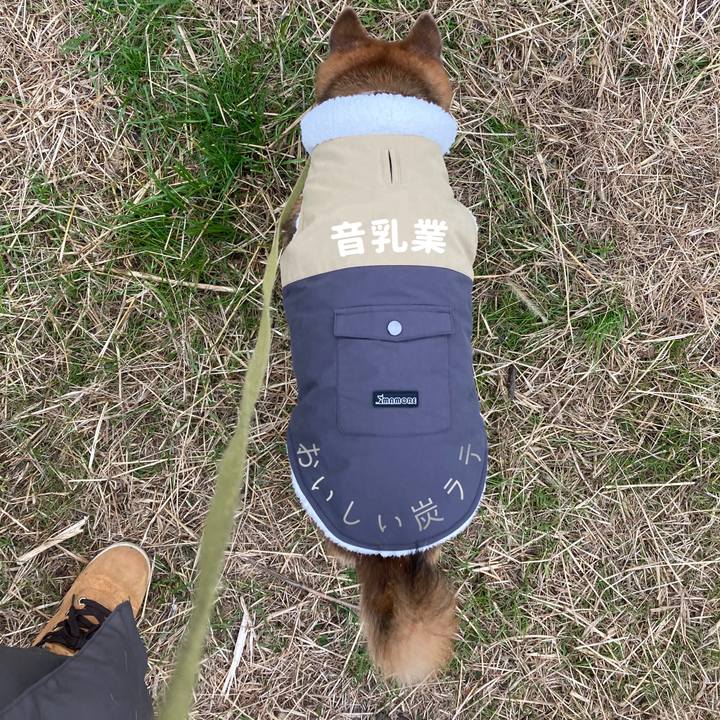 5a281e41 c065 41ab 8b6b dfdce8f9c605 1702944242238