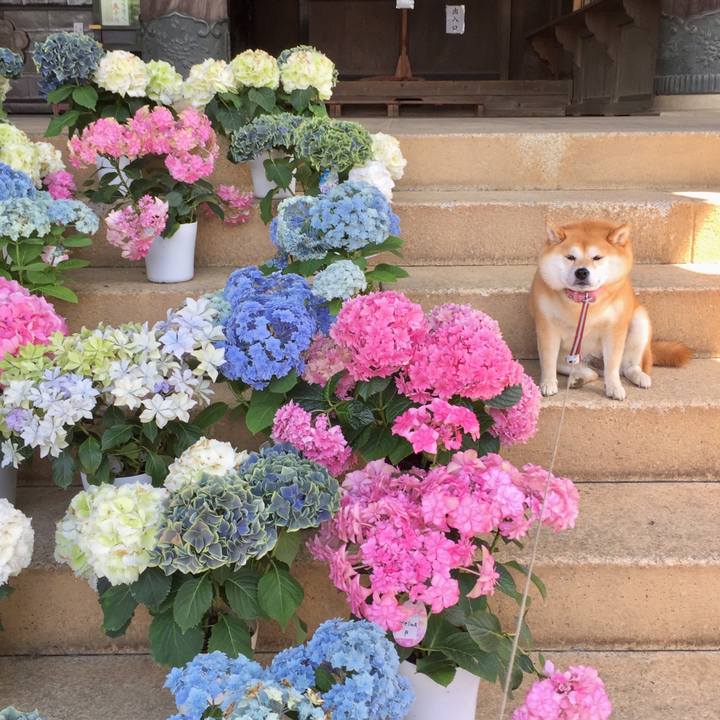 5a282fc1 9bfe 47c8 9c2e 30527d13d272 1560672706305