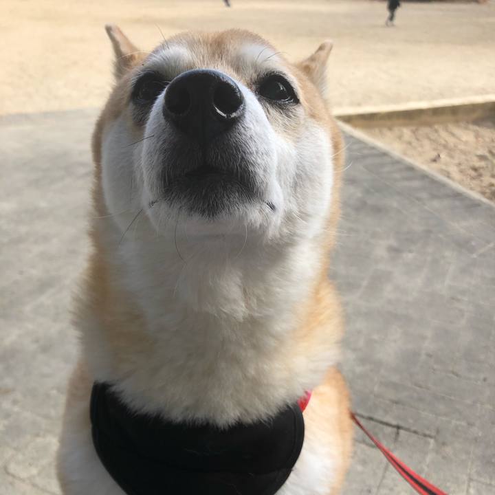 5a28625c 69c4 47fc 83e2 0a76b7552a68 1607583862276