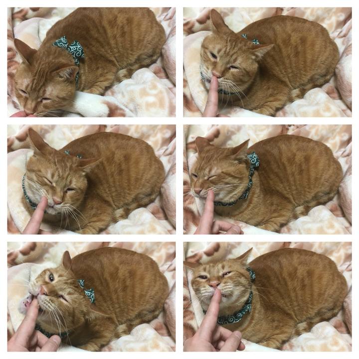 5a28a24b 4491 47bb a772 b85fdd94e9d9 1547033467310