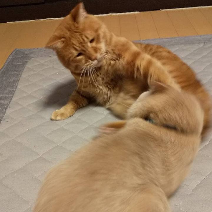 5a28bcef cdf4 4f17 8a53 8e70846dbf78 1628064850073