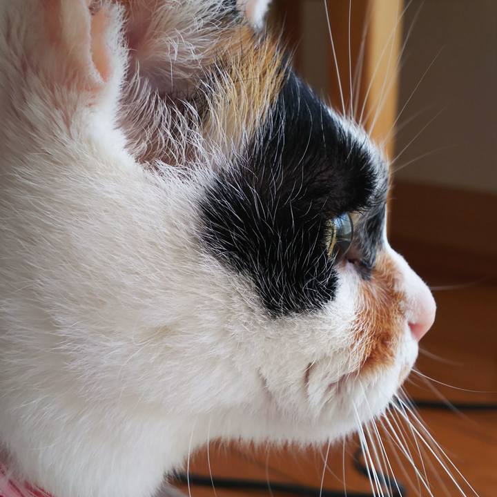 5a28e6be d86f 4761 bcd8 116be83e119d 1518219886573