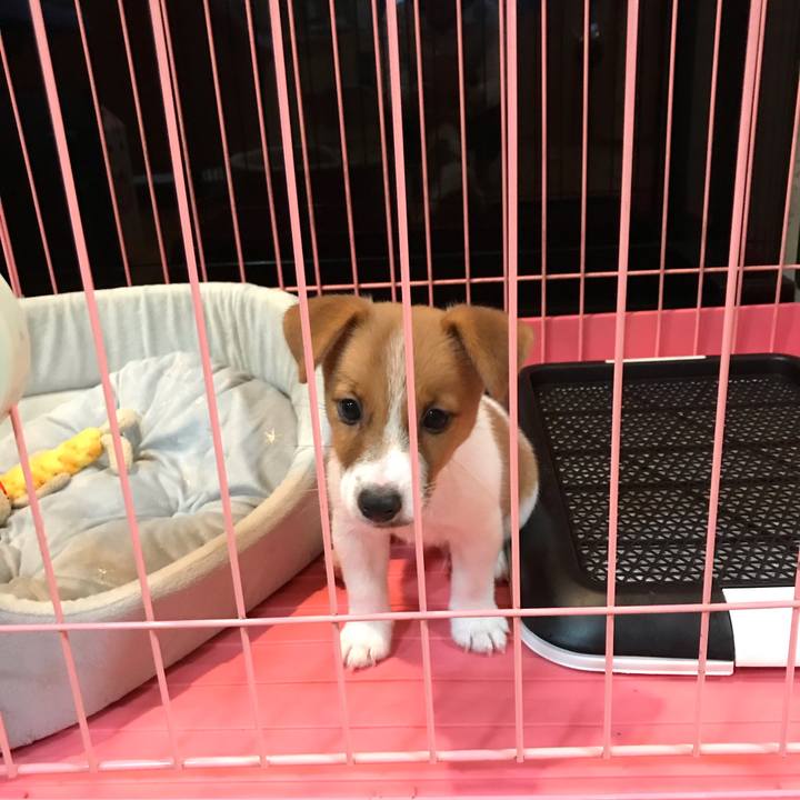 5a28e78a a484 47f5 99ea a6cba3beeec5 1575167731014