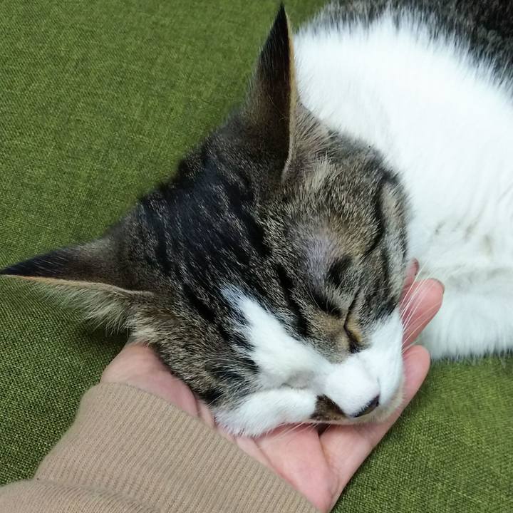 5a28efb1 1428 4554 941b e232b4edbfd0 1617970331209