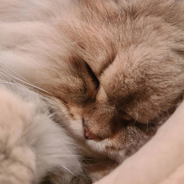 5a290464 6dd8 48ad b54b 7414d06d6d7e 1613343622121