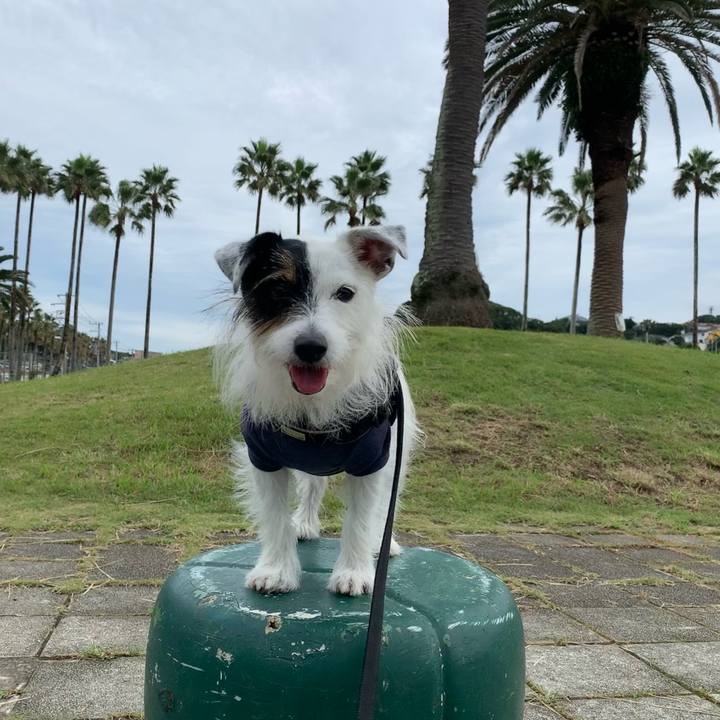 5a290b31 4f6f 423a 96fd 7bc8151848aa 1665192251002