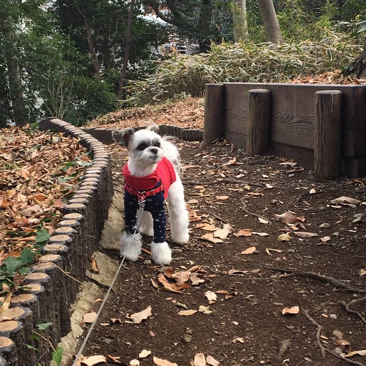 5a292e94 cce9 49fd 87bd 26eb80b94709 1513910884256