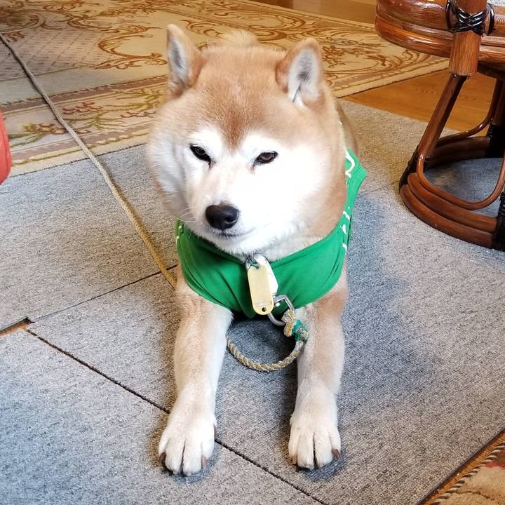 5a296829 7622 4b18 99ab d005ebabfe7f 1587166161197